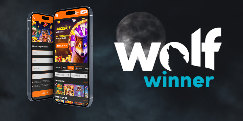 A review of the Wolfwinner casino